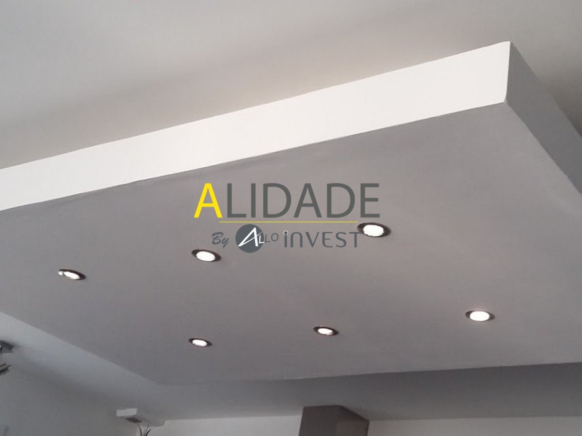 Alidade : Travaux de Plâtrerie